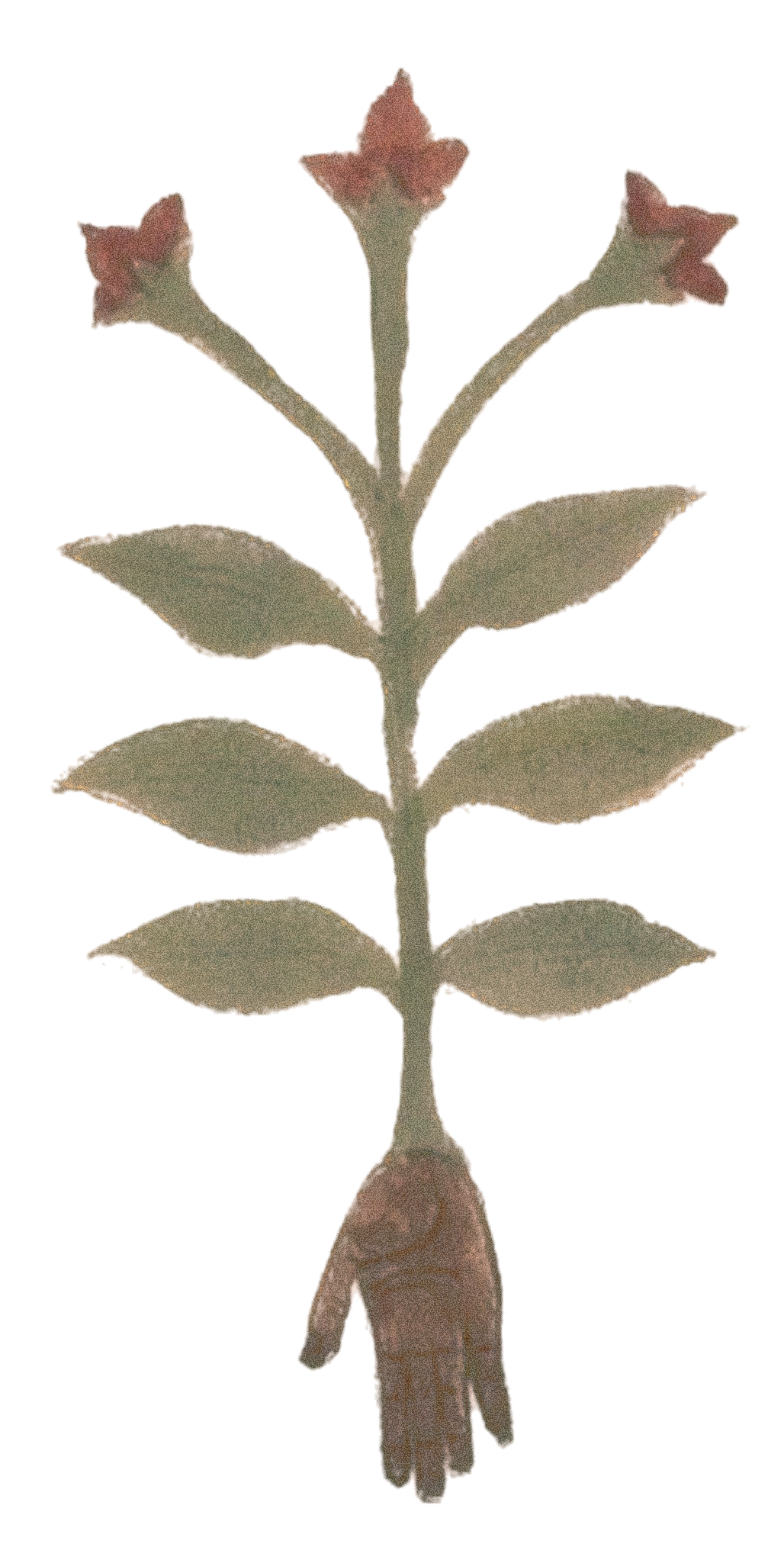 hand flowers