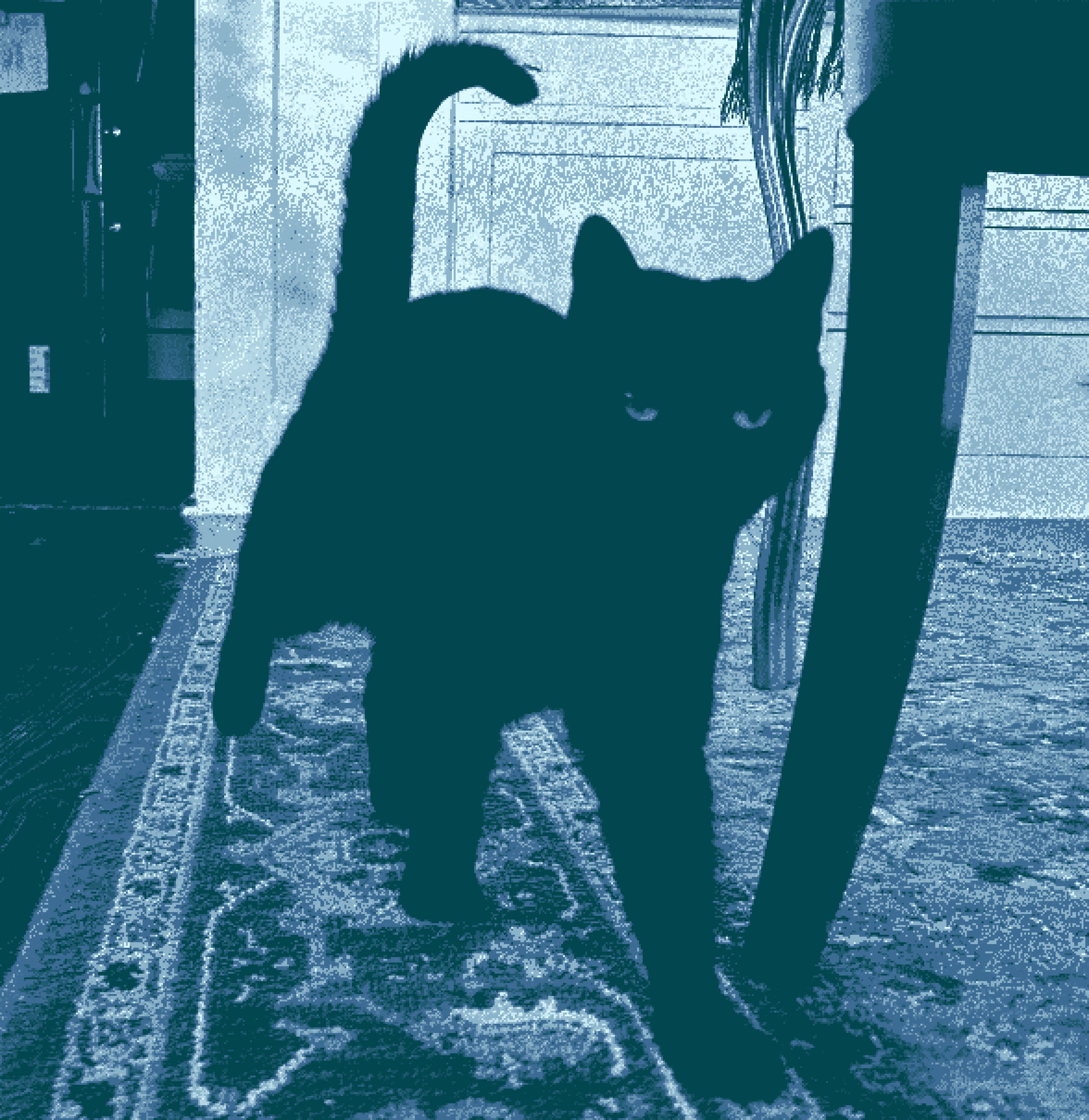 First image
